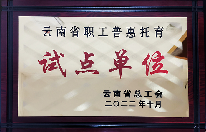 小图”云南省职工普惠托育试点单位“荣誉奖牌.jpg