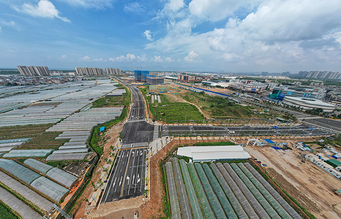 小图两条路.jpg